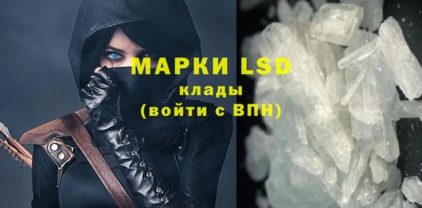 гашик Богданович
