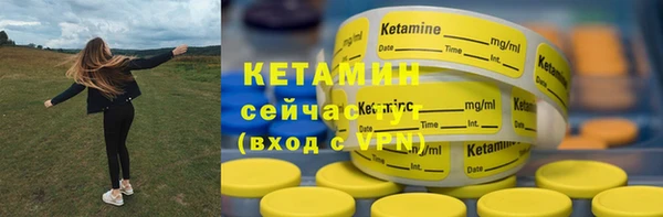 гашик Богданович