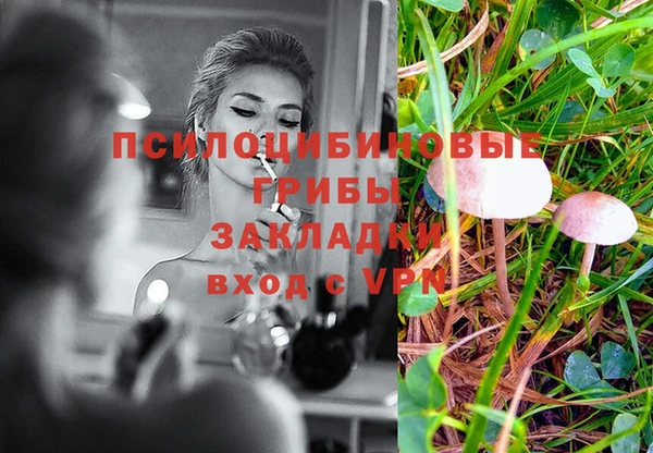 MESCALINE Богородицк