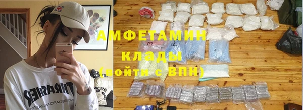 гашик Богданович