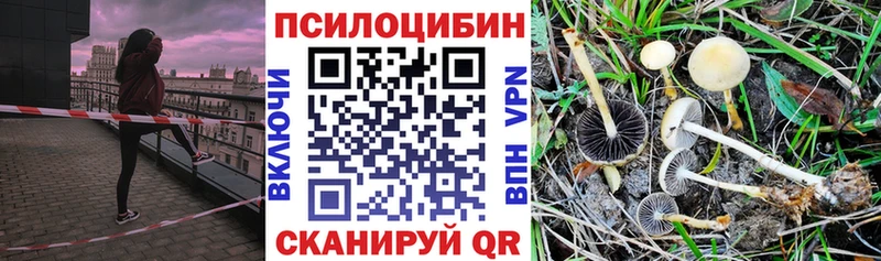 Галлюциногенные грибы MAGIC MUSHROOMS  Купить  Ленск 
